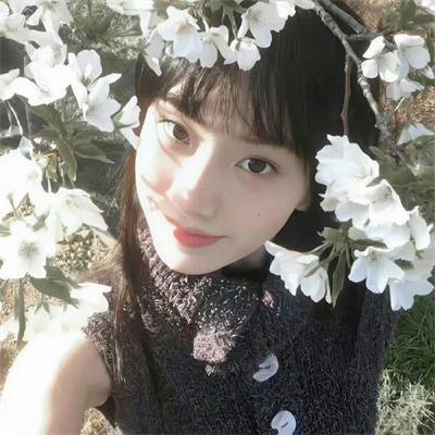 四朵花之家