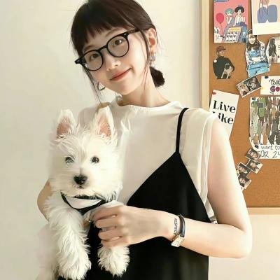熊猫的大冒险